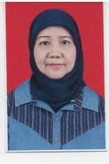 Nisrul Irawati