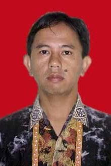 Nurdin Sulistiyono